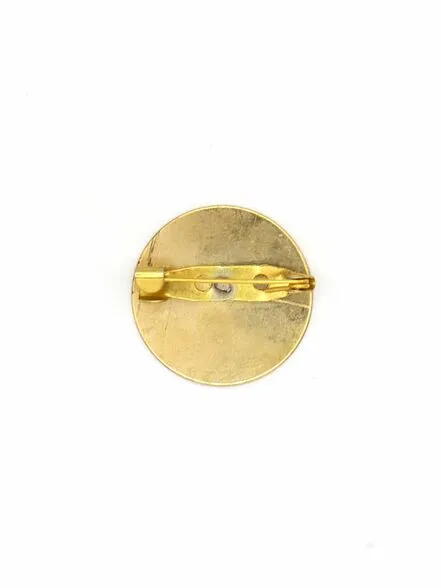 Education Brass Pins