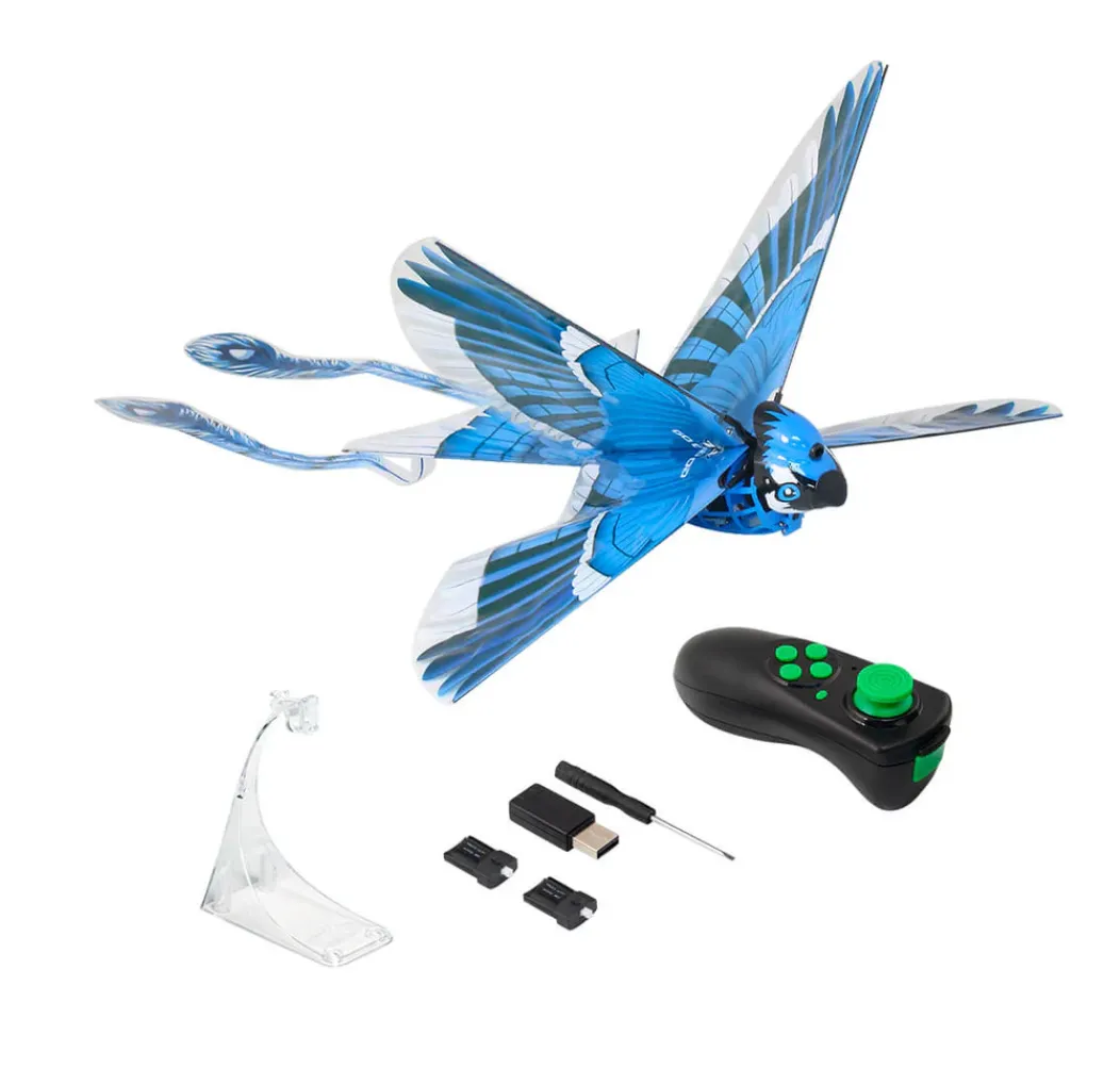 Go Go Bird Blue Jay