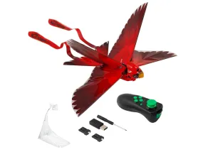 Go Go Bird Classic Cardinal