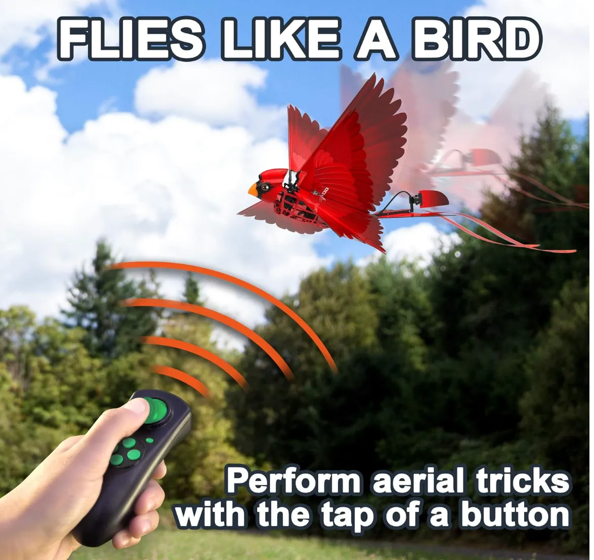 Go Go Bird Classic Cardinal