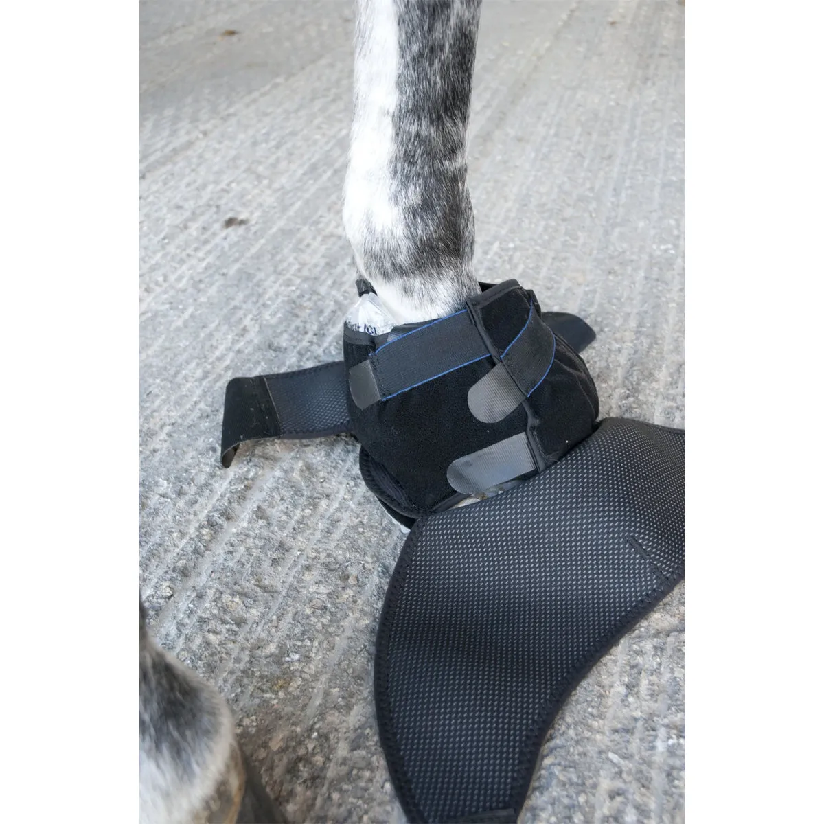 Ice Horse Hoof Ice Boot