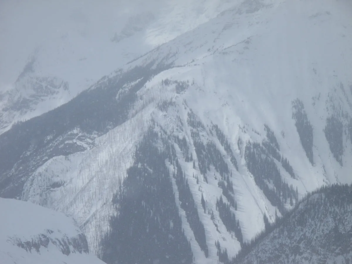 Icefall Lodge BC
