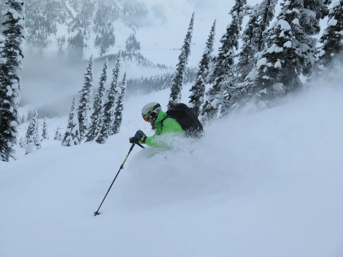 Icefall Lodge BC