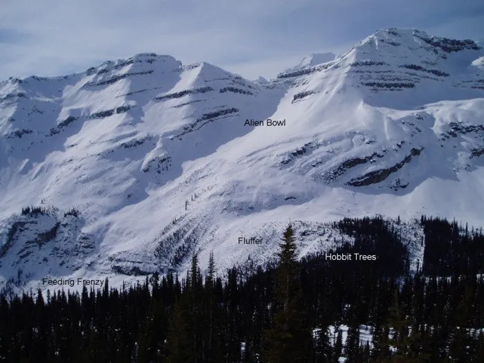 Icefall Lodge BC