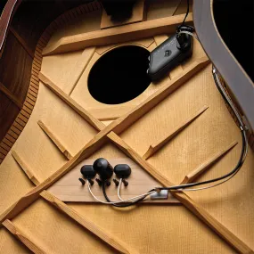 LR Baggs High-Fidelity Pickup   Microphone Mixing System
